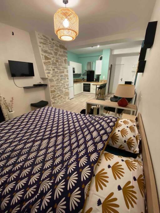 Charmant Studio Idealement Place Et Paisible ! Oloron-Sainte-Marie Esterno foto